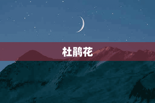 杜鹃花