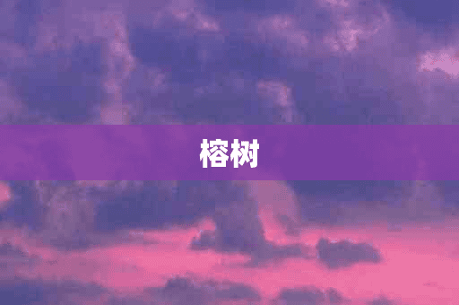 榕树