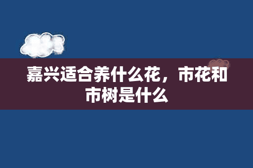 嘉兴适合养什么花，市花和市树是什么