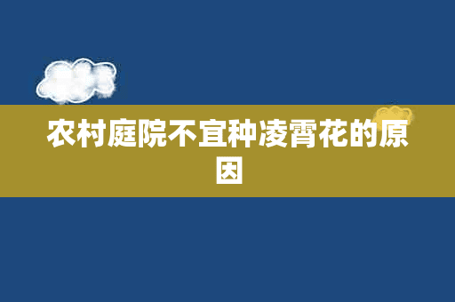 农村庭院不宜种凌霄花的原因