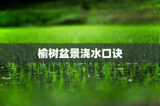 榆树盆景浇水口诀