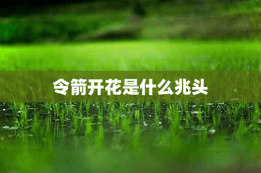 令箭开花是什么兆头