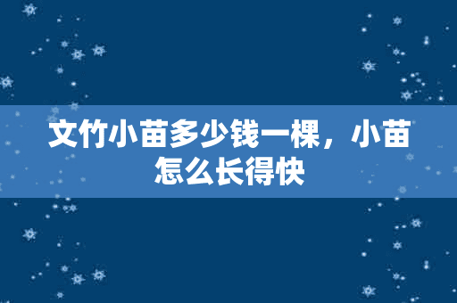 文竹小苗多少钱一棵，小苗怎么长得快