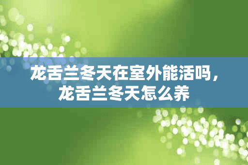 龙舌兰冬天在室外能活吗，龙舌兰冬天怎么养