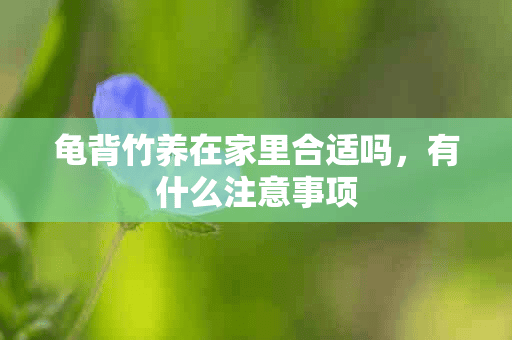 龟背竹养在家里合适吗，有什么注意事项