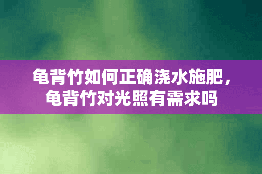 龟背竹如何正确浇水施肥，龟背竹对光照有需求吗