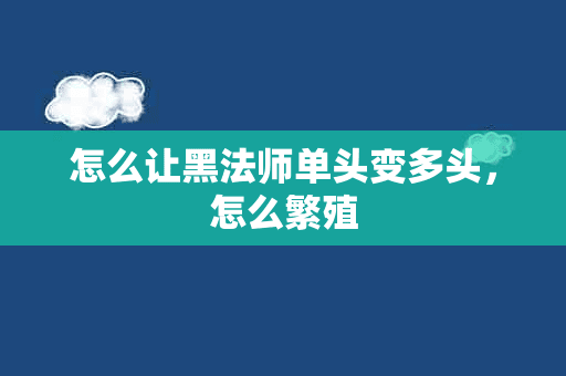 怎么让黑法师单头变多头，怎么繁殖