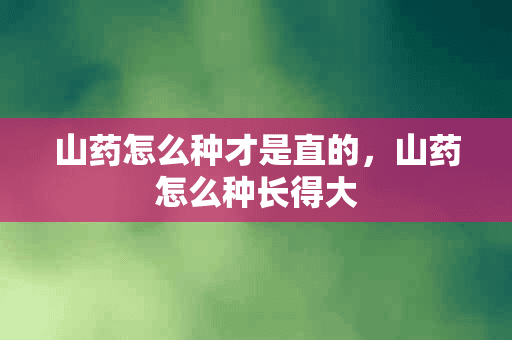 山药怎么种才是直的，山药怎么种长得大