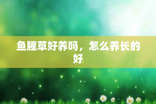 鱼腥草好养吗，怎么养长的好