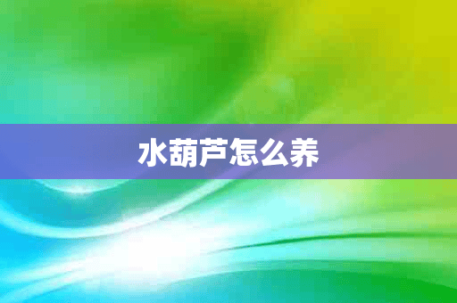 水葫芦怎么养