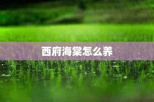 西府海棠怎么养