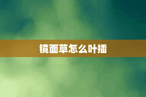 镜面草怎么叶插