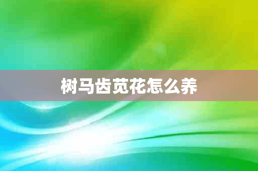 树马齿苋花怎么养