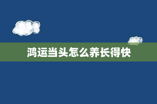 鸿运当头怎么养长得快