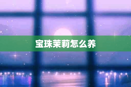 宝珠茉莉怎么养