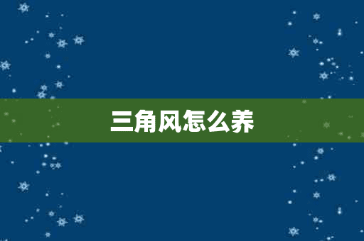 三角风怎么养