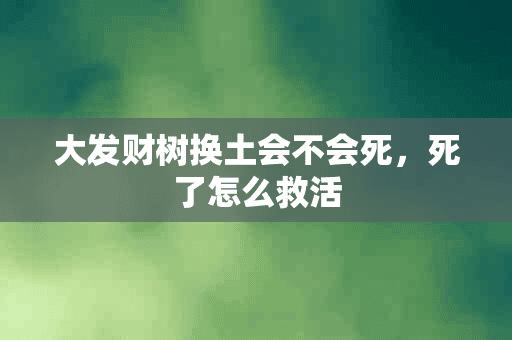 大发财树换土会不会死，死了怎么救活