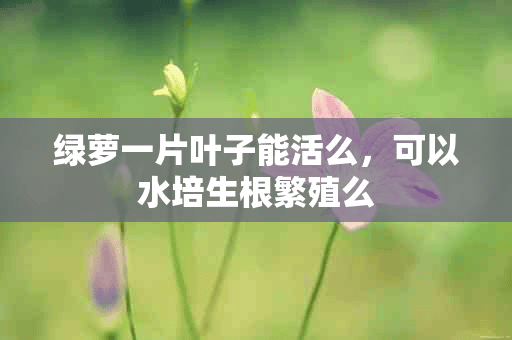 绿萝一片叶子能活么，可以水培生根繁殖么