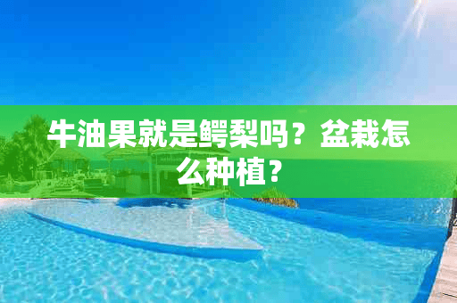 牛油果就是鳄梨吗？盆栽怎么种植？