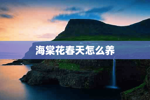 海棠花春天怎么养