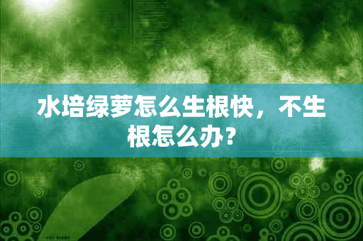 水培绿萝怎么生根快，不生根怎么办？