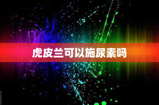 虎皮兰可以施尿素吗