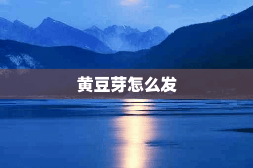 黄豆芽怎么发