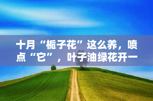 十月“栀子花”这么养，喷点“它”，叶子油绿花开一茬