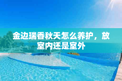 金边瑞香秋天怎么养护，放室内还是室外