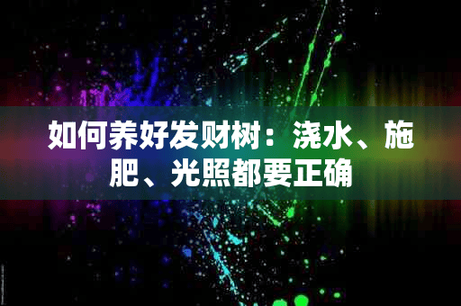 如何养好发财树：浇水、施肥、光照都要正确