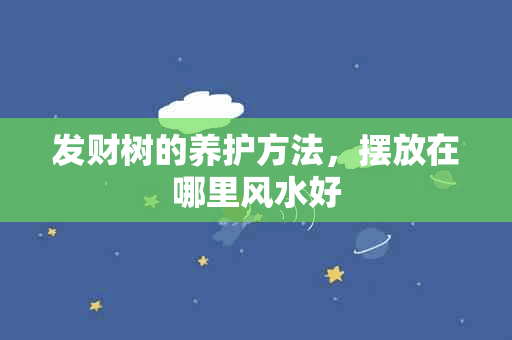 发财树的养护方法，摆放在哪里风水好