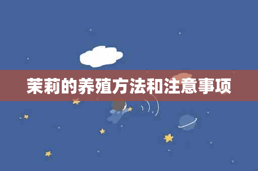 茉莉的养殖方法和注意事项