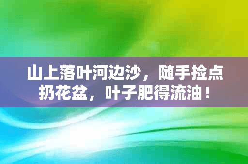 山上落叶河边沙，随手捡点扔花盆，叶子肥得流油！