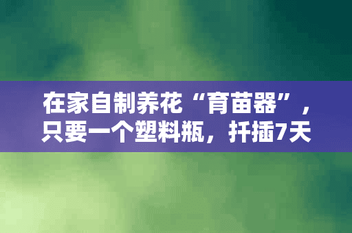 在家自制养花“育苗器”，只要一个塑料瓶，扦插7天就发芽！