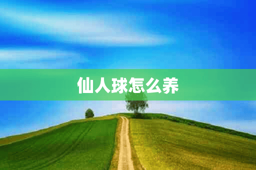 仙人球怎么养