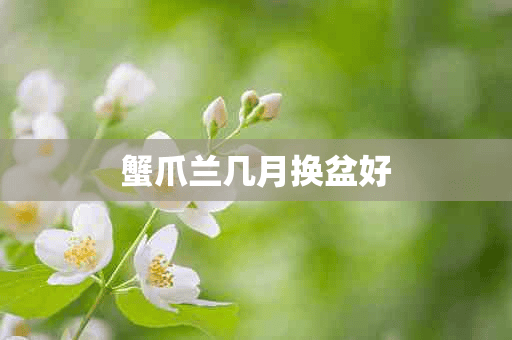 蟹爪兰几月换盆好