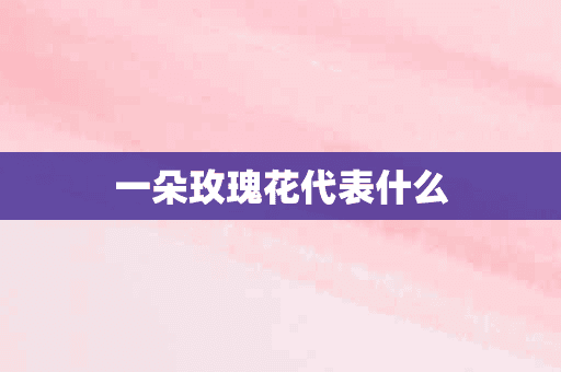 一朵玫瑰花代表什么