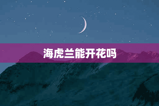 海虎兰能开花吗