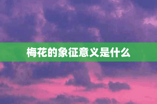 梅花的象征意义是什么