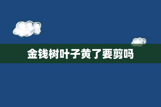 金钱树叶子黄了要剪吗