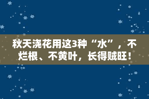 秋天浇花用这3种“水”，不烂根、不黄叶，长得贼旺！