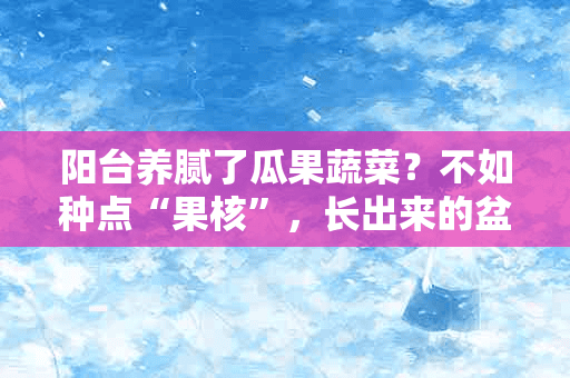 阳台养腻了瓜果蔬菜？不如种点“果核”，长出来的盆栽超可爱