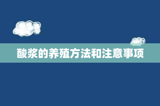 酸浆的养殖方法和注意事项