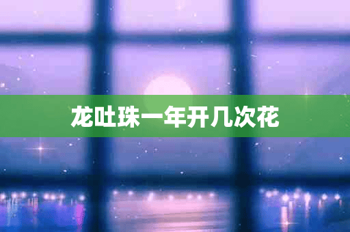 龙吐珠一年开几次花