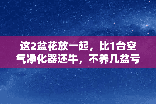 这2盆花放一起，比1台空气净化器还牛，不养几盆亏大了！