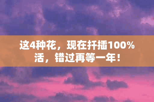 这4种花，现在扦插100%活，错过再等一年！