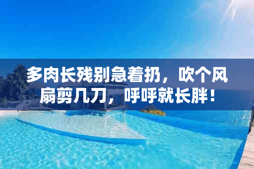 多肉长残别急着扔，吹个风扇剪几刀，呼呼就长胖！