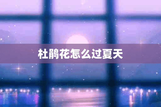 杜鹃花怎么过夏天