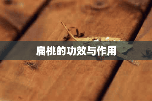 扁桃的功效与作用