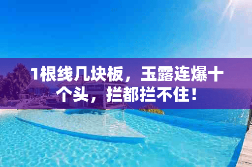 1根线几块板，玉露连爆十个头，拦都拦不住！